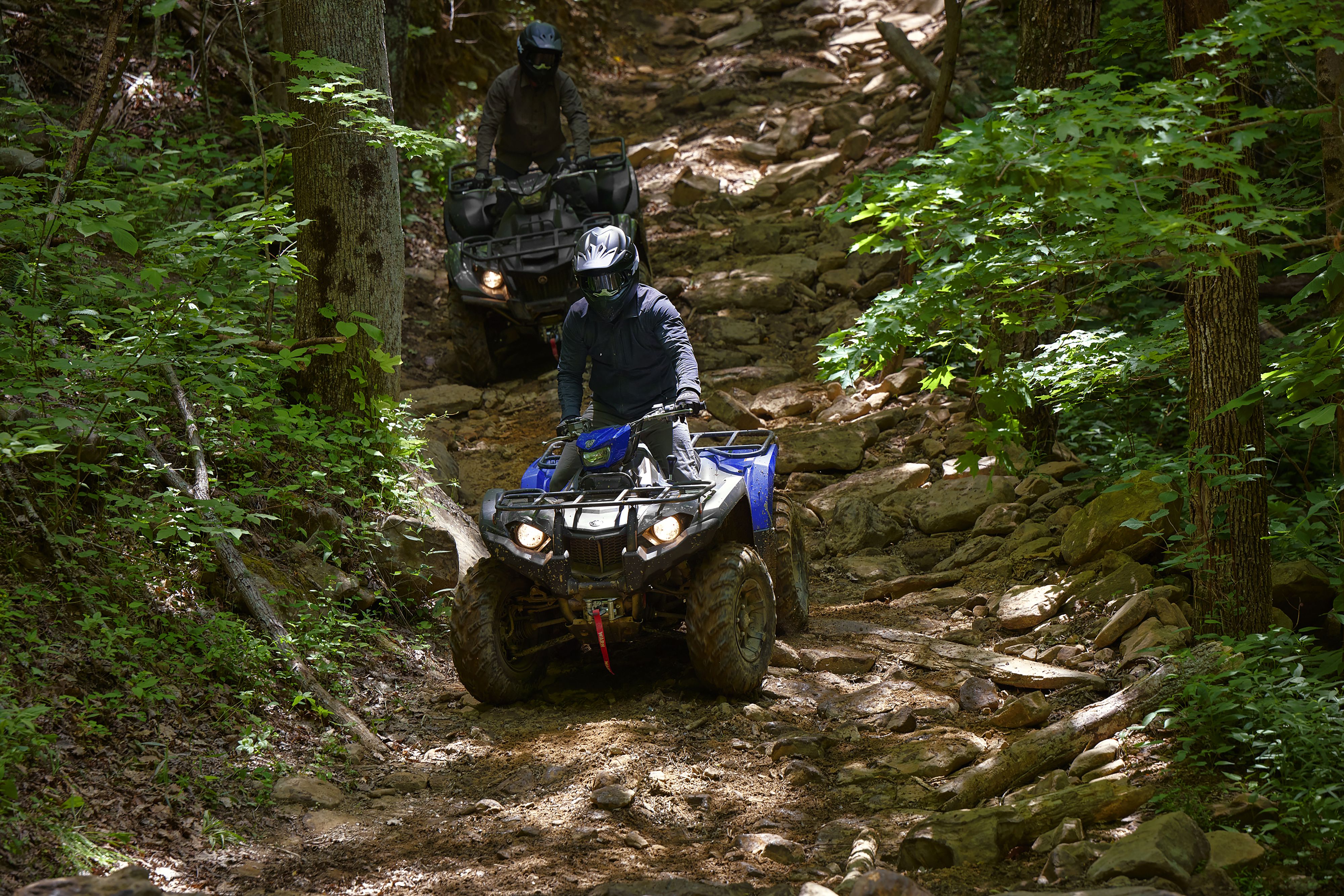assets/images/motorcycles/models/kodiak-450-2024/1.jpg