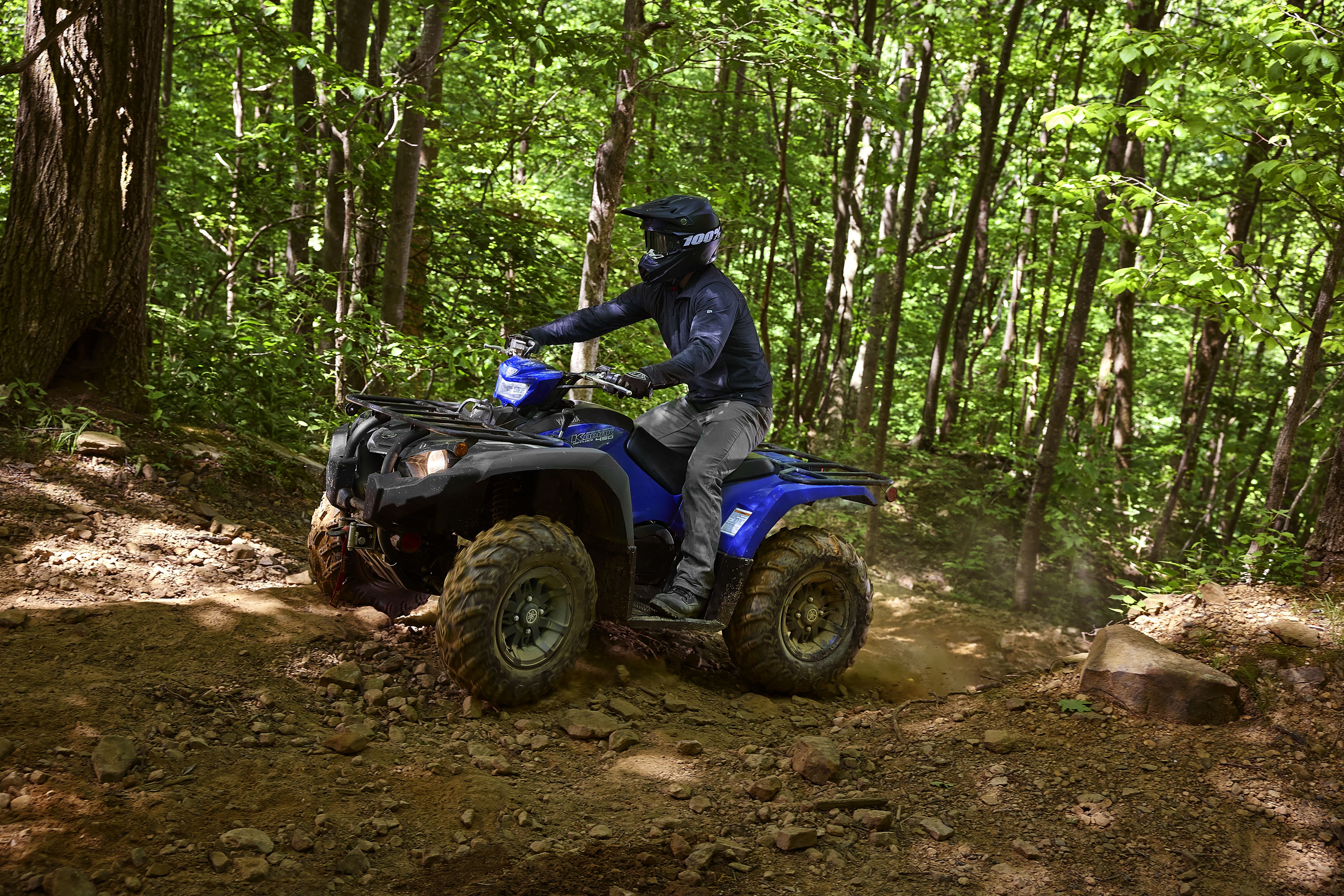 assets/images/motorcycles/models/kodiak-450-2024/3.jpg