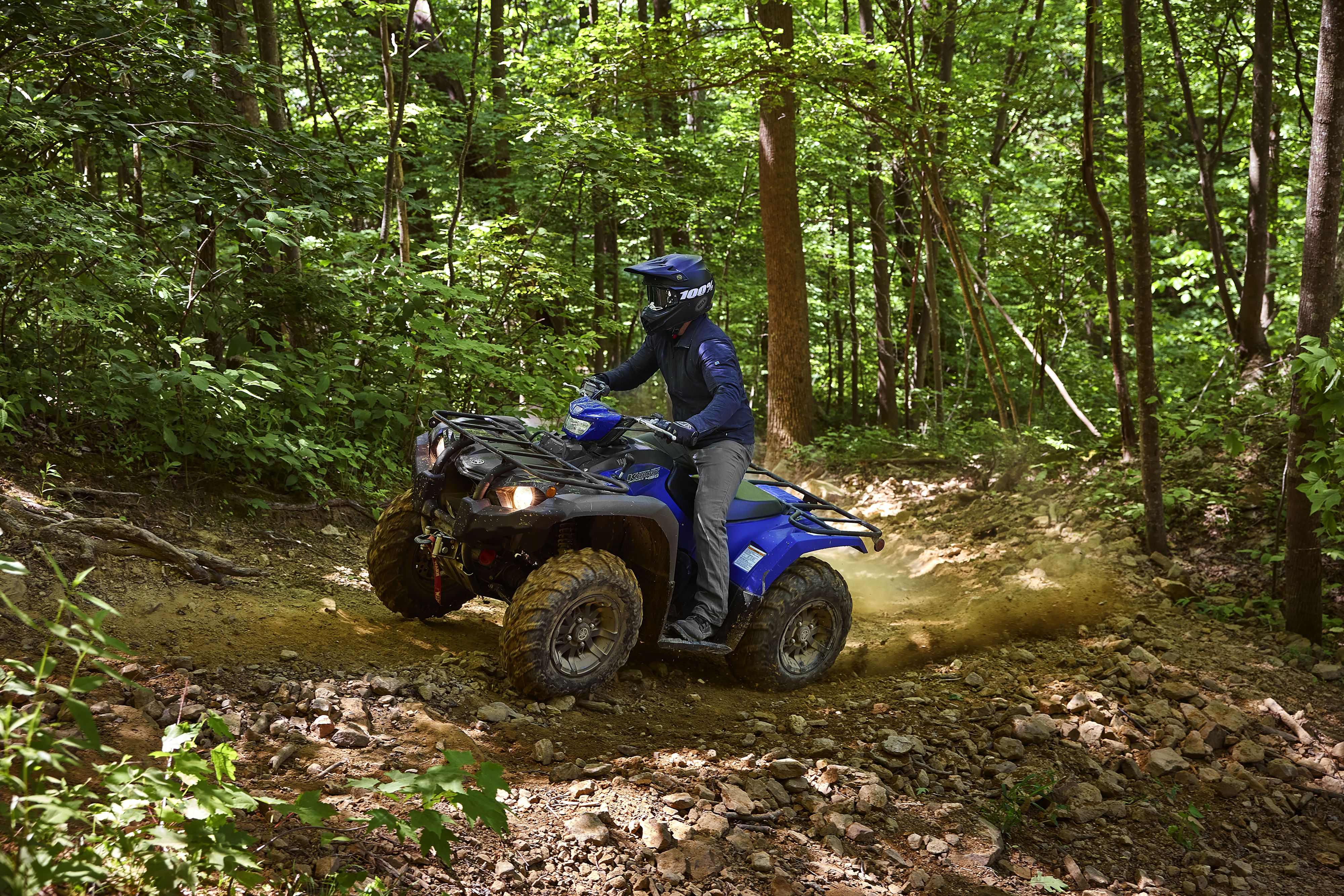 assets/images/motorcycles/models/kodiak-450-2024/4.jpg