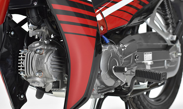 assets/images/motorcycles/models/t110-crypton-2024/21.jpg